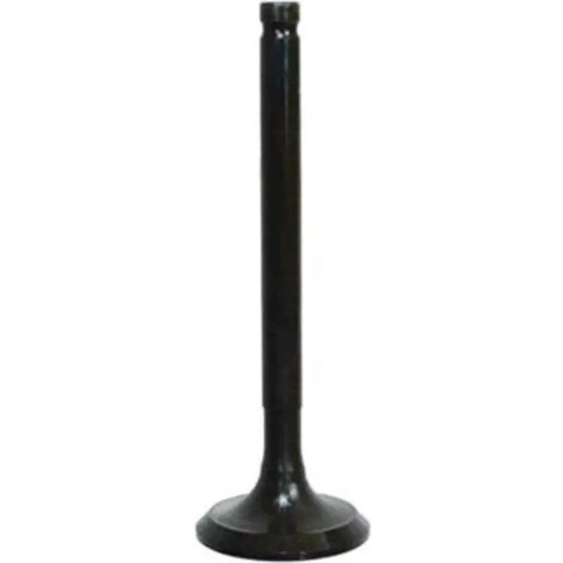 Speciální Cena Výfukový ventil, ocelový, 21,48x4,6/4,9x64,63mm Bronco AU-09163E