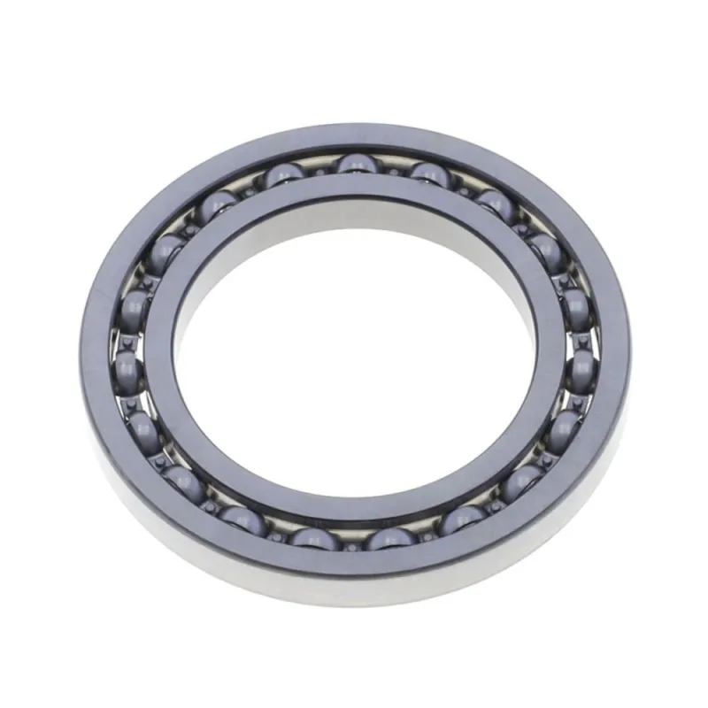 Top Prodej Ložisko SKF MS650100110C3 16013C3